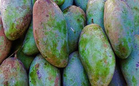 第11屆金鷹節(jié)頒獎晚會芒果tv