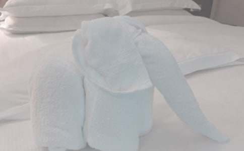 �����A�����۰Y--��ë�����۾���ʲô��̎