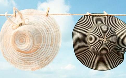 神奇的帽子作文14篇