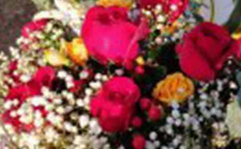 描寫玫瑰花作文