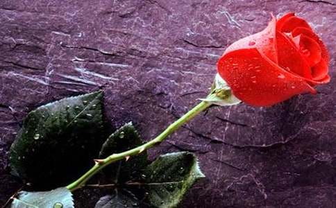 õ��׵���ʳ����