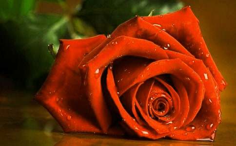 õ�廨��������