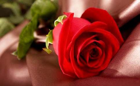 20���Sõ�����ʲô