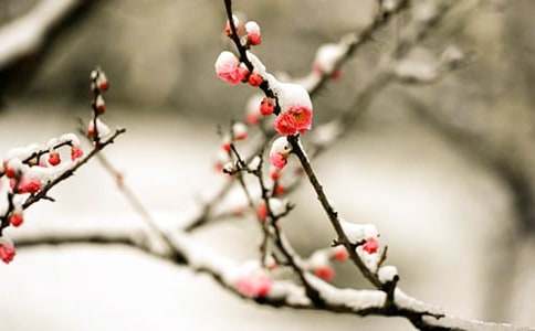 �P��÷���Ĺ�Ԋ�~�b�p