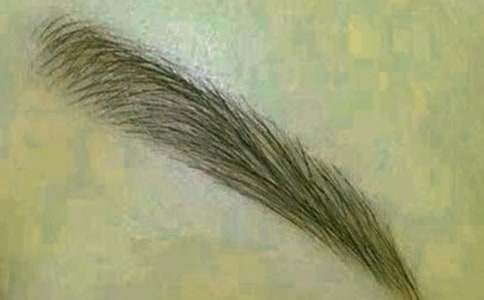 ���P���W��üë�ļ���