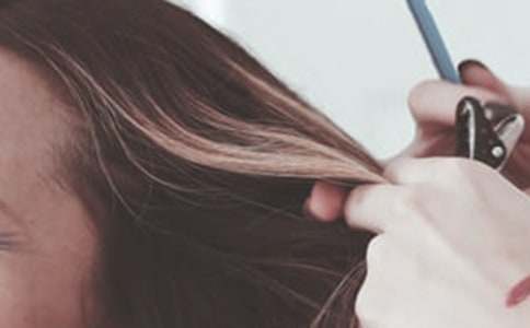 ���l���͔zӰ��