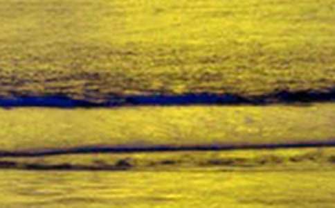 �茑���������ľ���