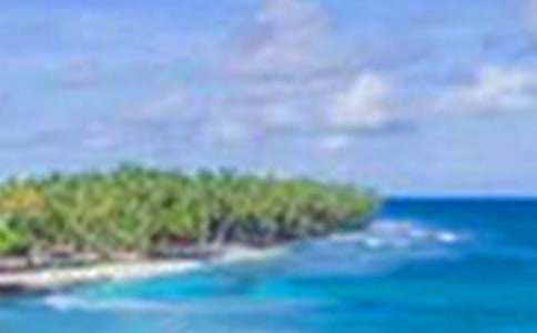 (精選)描寫桃林美景的句子