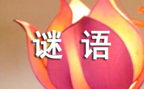 簡(jiǎn)單的打一字謎語(yǔ)大全