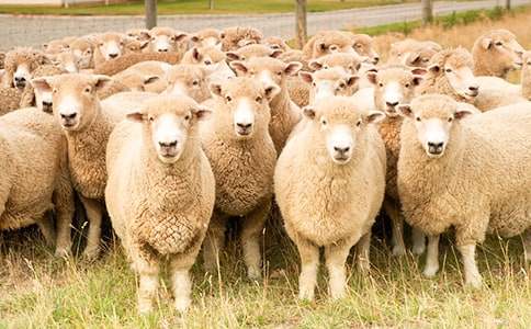 С���L����С�d�������ˡ��̌W�O(sh��)Ӌ