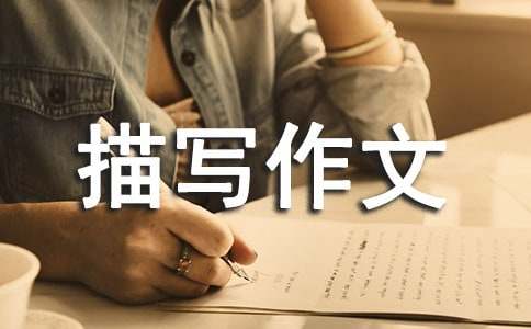 建筑物描寫作文