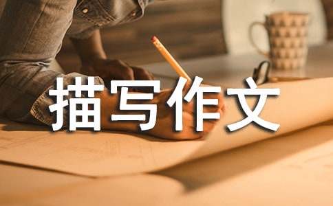 建筑物描寫作文5篇(實(shí)用)