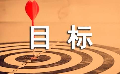 目標(biāo)與計(jì)劃管理心得體會(huì)