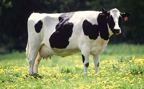 ������ţ���@����