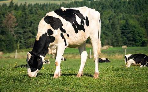 �r�I�����M��ţ�˜ʻ�Ҏģ