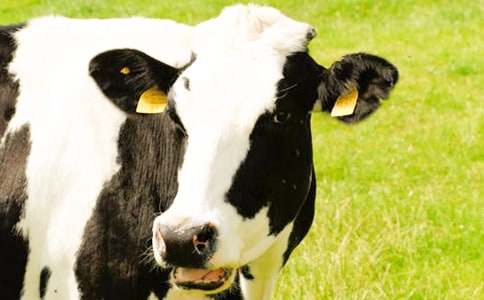 ��������С������С��̰�