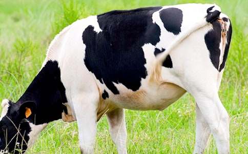 �������c��ţ���u�n��