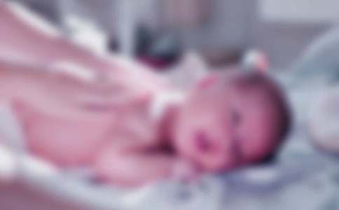 �Ќ����ܚqף���Z15ƪ