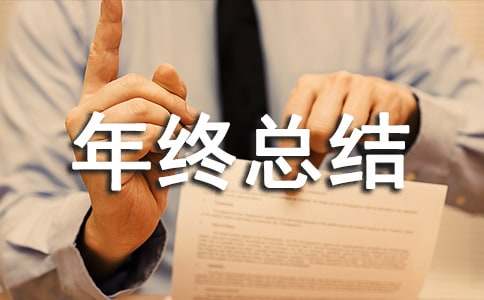 個人的年終總結(jié)(精)