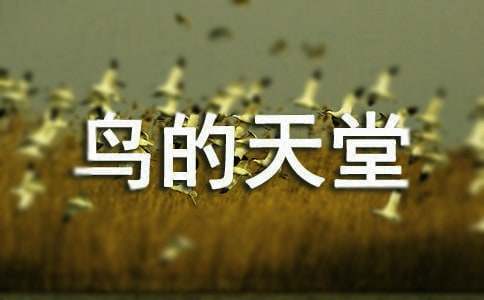 ���B�����á��̌W(xu��)�O(sh��)Ӌͨ��15ƪ