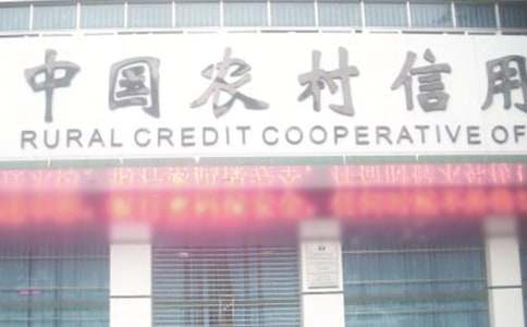 農(nóng)村信用社述職報(bào)告