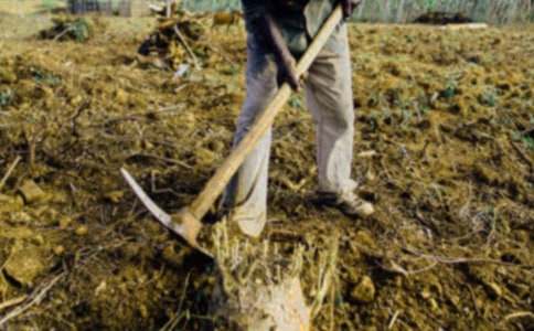 �r�������x���⼰��