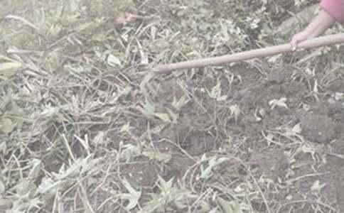 �Ҷ���؁��ϼ��w��w��r����Ŀ옷����