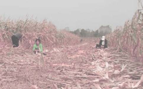 ���r������500��