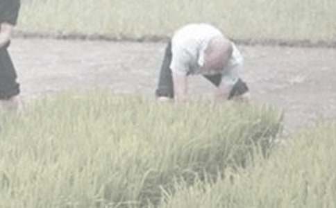 ���r(n��ng)��ӛ����