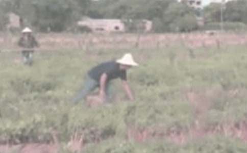 ���r�����ģ�ͨ��27ƪ��