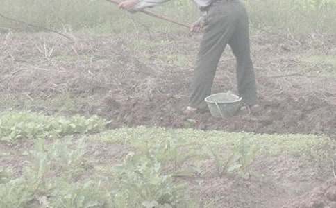 ��һ�θ��r(n��ng)������