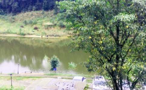 �L(zh��ng)�d�r(n��ng)�Ҙ�(l��)�����ι���