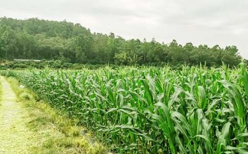 �r(n��ng)�Ҙ�Ȥ����