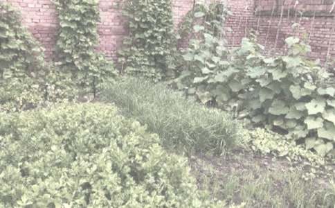 �r(n��ng)����N��ُ�N��ͬ15ƪ