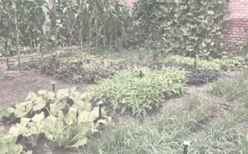 �r(n��ng)����N���I�u��ͬ12ƪ