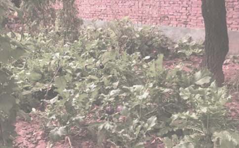 (���])�r(n��ng)����N��ُ�N��ͬ