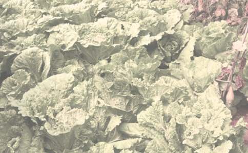 �˜��r����N�Ӳ�ُ��ͬ����