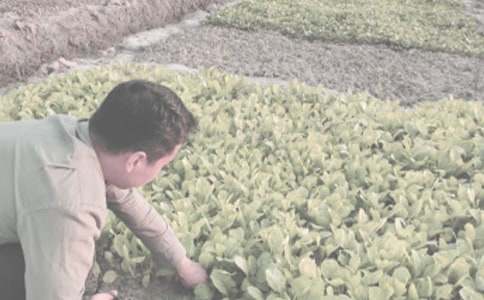 �r(n��ng)����N���A(y��)�s���a(ch��n)��ͬ�����x15ƪ��