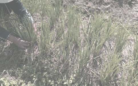 �r����N���A�s���a��ͬ5ƪ