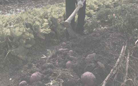 �r(n��ng)����N�����a(ch��n)��ͬ10ƪ