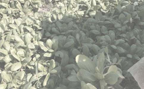 �r����N�����a��ͬ