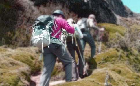 爬山虎對家居環(huán)境的作用