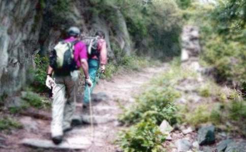 爬山的作文15篇