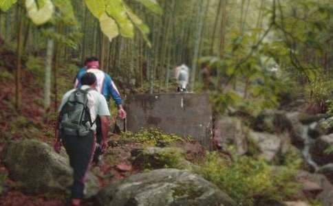 (優(yōu)選)《爬山虎的腳》評課稿