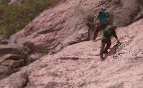 (精)親子爬山活動(dòng)方案7篇