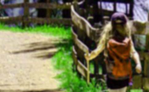 《那片綠綠的爬山虎》的說(shuō)課設(shè)計(jì)稿