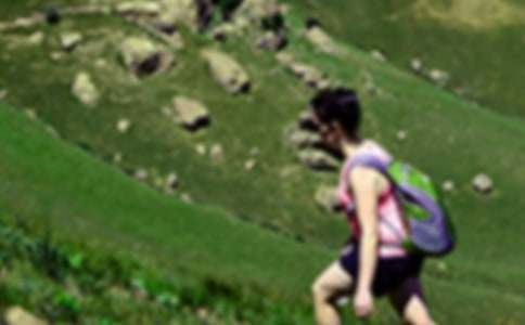 那片綠綠的爬山虎教學反思