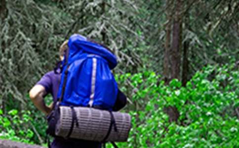 簡單的爬山通知范文 篇