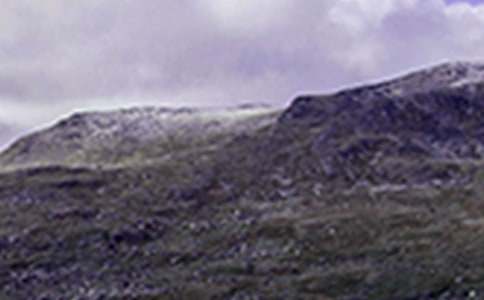 《爬山虎的腳》教學(xué)設(shè)計(jì)15篇