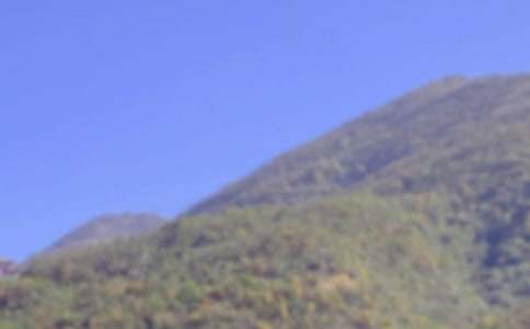 爬山虎的腳教學設計15篇